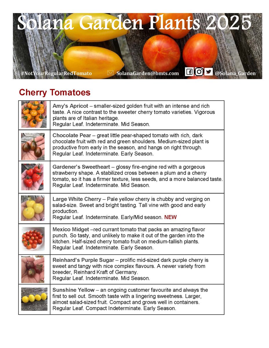 Now accepting orders for my annual Plant Sale. This year there’s 40 tasty tomato and pepper varieties, all tested and grown in Grey County. If interested, message to get my full plant catalogue. 
#TomatoTuesday 
#NotYourRegularRedTomato