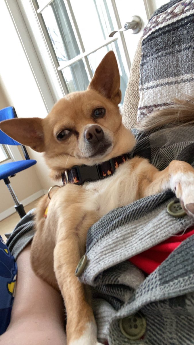 Emmy🦖 tweet media