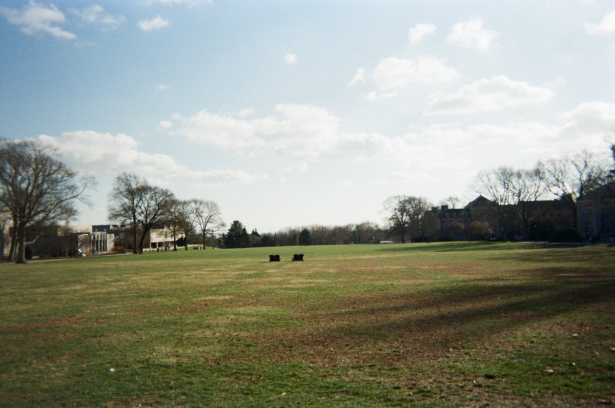 If You Give a Camel a Camera (Vol. 1) #ConnColl