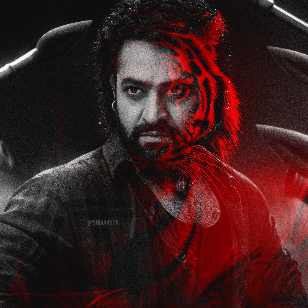 RodRaisar's tweet photo. Idhigo Nuvvu DP Pettalsina Pic @tarak9999🐯 https://t.co/iFE98QGDPQ