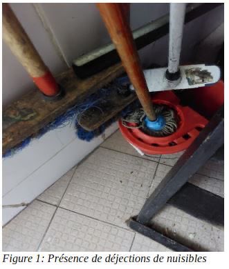 Prefet95's tweet photo. 🔴 #santé | Fermeture administrative décidée par @prefet95 de l’établissement « La Spezzia », situé 1 rue Charles de Gaulle à Groslay.

❌ Présence de déjections de nuisibles
❌ Denrées conservées dans des conditions inadéquates
❌ Locaux et équipements sales 
❌ Locaux non équipés d’un dispositif permettant un nettoyage hygiénique des mains
❌ Traçabilité des denrées non assurée 

Auquel s’ajoute: 
❌ Travail illégal par emploi de trois étrangers sans titre

👉 Fermeture d’urgence au titre de l’hygiène 
👉 Engagement des mesures de police administrative pour travail illégal : amende administrative et communication à l’URSSAF pour examen de la situation sociale