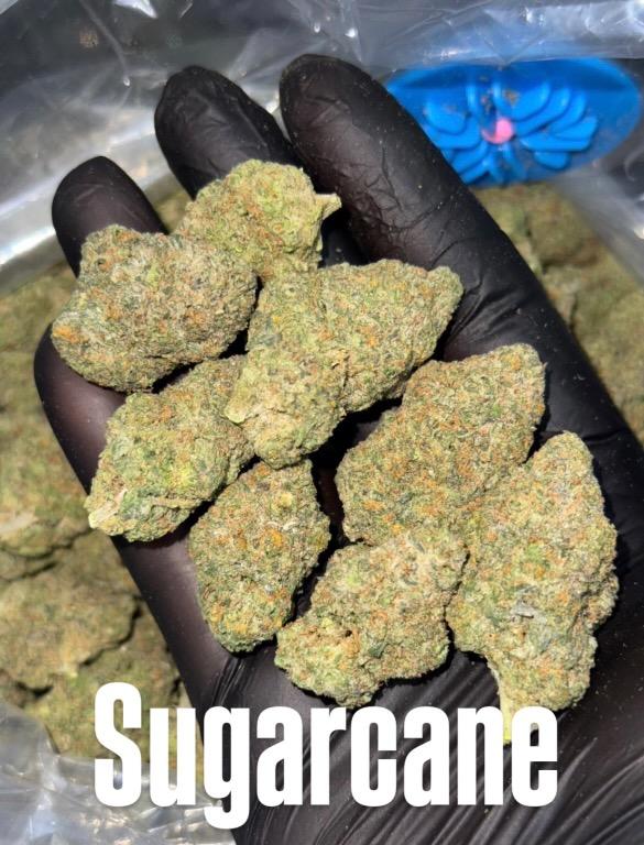 KP_OG_SHOP420's tweet photo. INDOOR AIR24❄️ TOP MIX
-งานคุณภาพ💯 -ราคาหลุด🔥มีจำนวนจำกัด✅

ขีด  2,800🔥
ครึ่งโล  9,000🔥
โล  16,500🔥

-ปลายทาง+100✅
#กัญชา #กัญชากทม #กัญชาog  #ลำปาง #กัญชาพัทยา #กัญชาราคาส่ง #กัญชาภาคใต้ #ภูเก็ต #เชียงใหม่ #weez #หาดใหญ่ #กัญชาภาคเหนือ #cannabis #กัญชานครปฐม #กัญชาออแกนิค https://t.co/wt9PTnkHW7