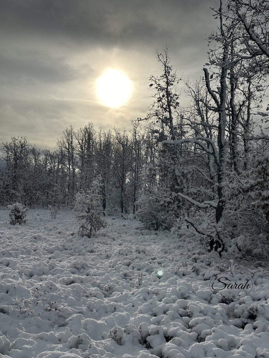 ❤️ Tan bonita como efímera… Hoy buena parte de la provincia de León amanecía bajo un manto blanco. Compartimos esta imagen para todos los leoneses que nos seguís desde la distancia. Esperamos que os traiga los mejores recuerdos! ❄️
#temporal #nieve #León #emigración #museos