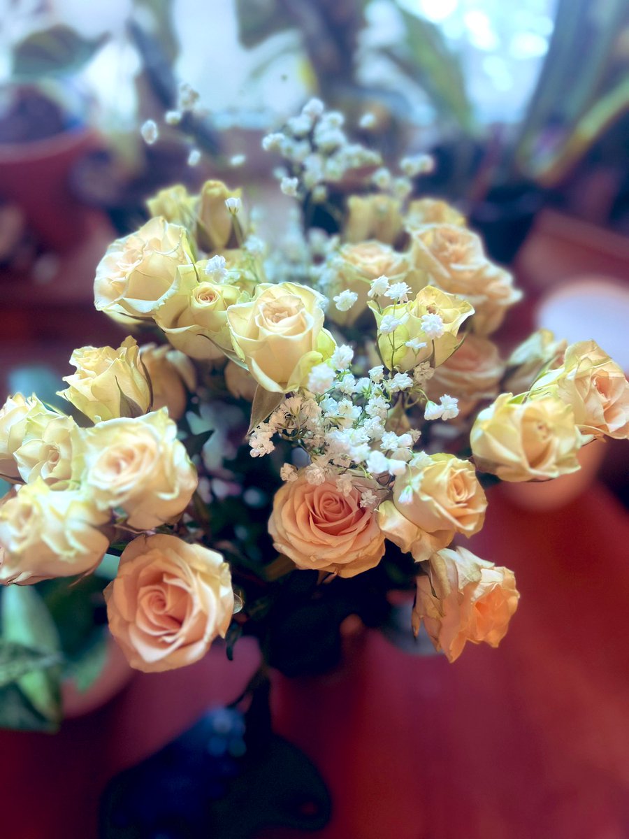 munkiesp4nk3r's tweet photo. 🥰 received so many flowers this month. Thank you my love❤️ #BirthdayMonth #Flowers #UntilDeathDoUsPart https://t.co/K6JG0xdvB7