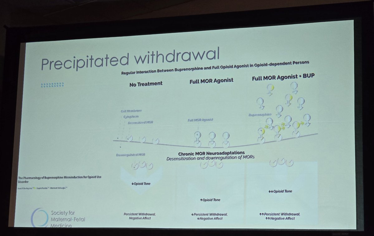 NirajChavanMD's tweet photo. Dr. Marcela Smid sharing all the wisdom on newer paradigms of initiating #Buprenorphine using #LongActingInjectibles and alternative pharmacological strategies at our @MySMFM #Postgraduate course on #PerinatalSubstanceUseDisorders

Loving the learning from all the experience! https://t.co/OthneFXMND