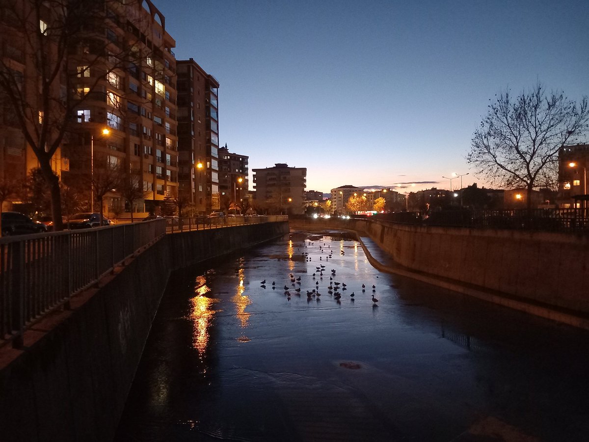 35rivernehir's tweet photo. Aksam yuruyusumuzden.... https://t.co/vMrVFBauuS