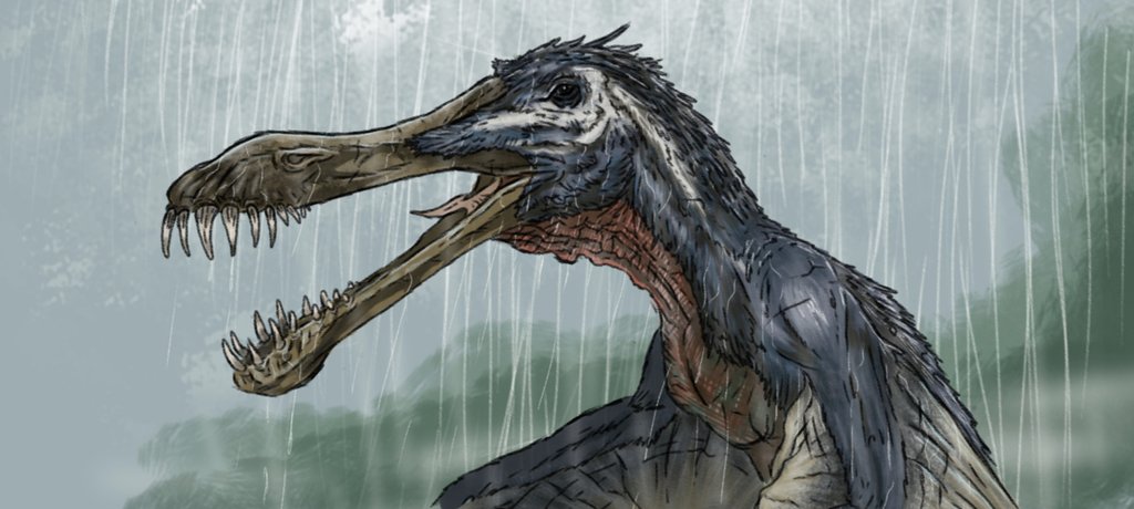 patrik_cauan's tweet photo. Theropoda Reserve cearadactylus 

#theropodareserve #novel #book #drawing #paleoart #animal #dinosaur #sketchbook #JurassicPark https://t.co/X4SjSSLbqp