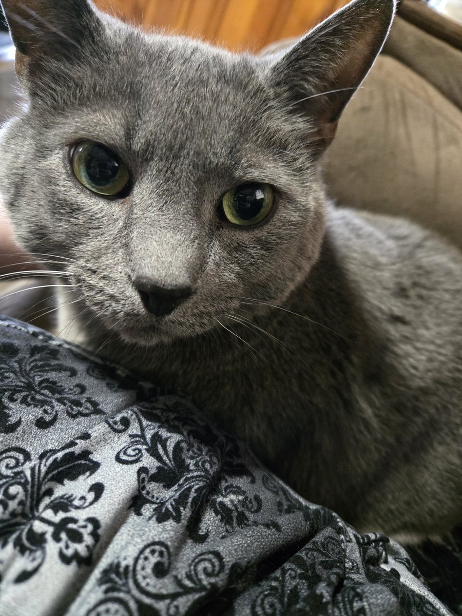 CaptainKiro tweet picture