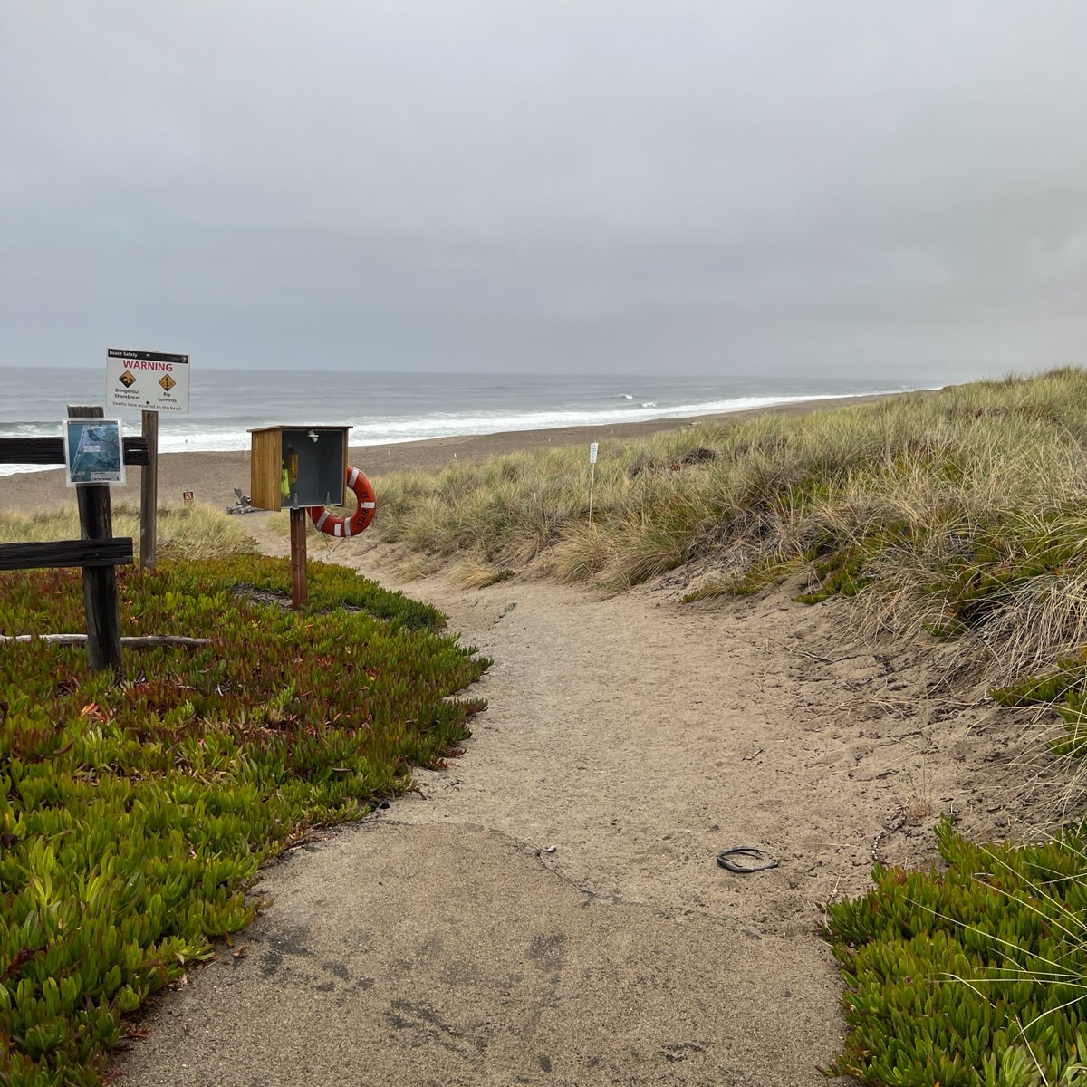SERC Marine Invasions Research Lab tweet media