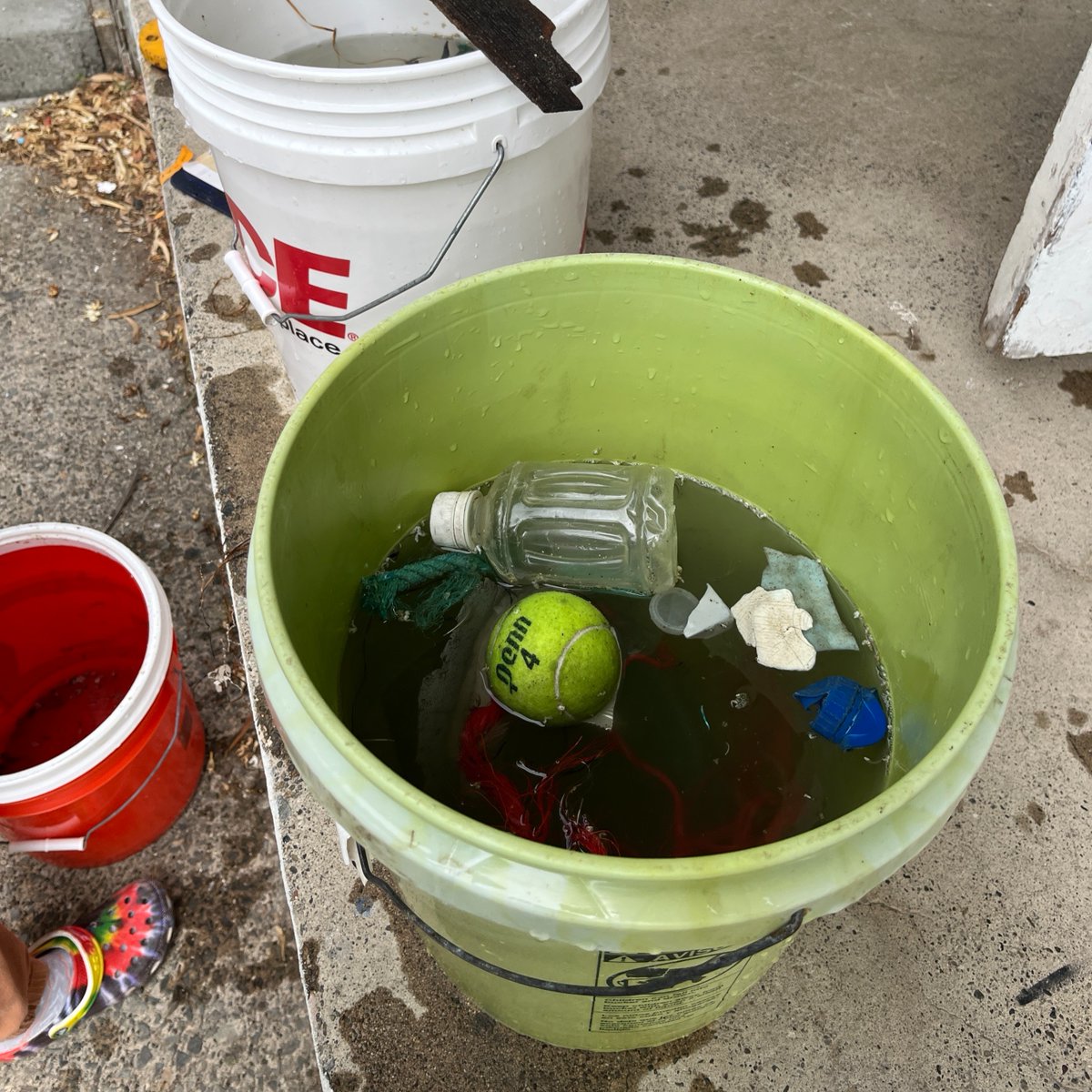 SERC Marine Invasions Research Lab tweet media