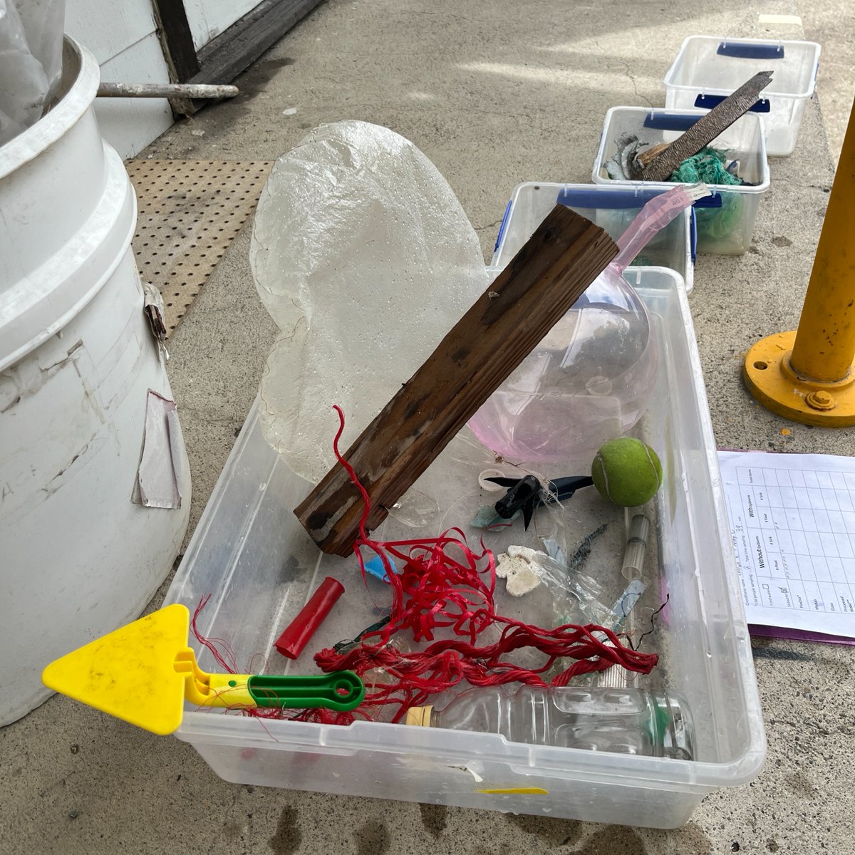 SERC Marine Invasions Research Lab tweet media