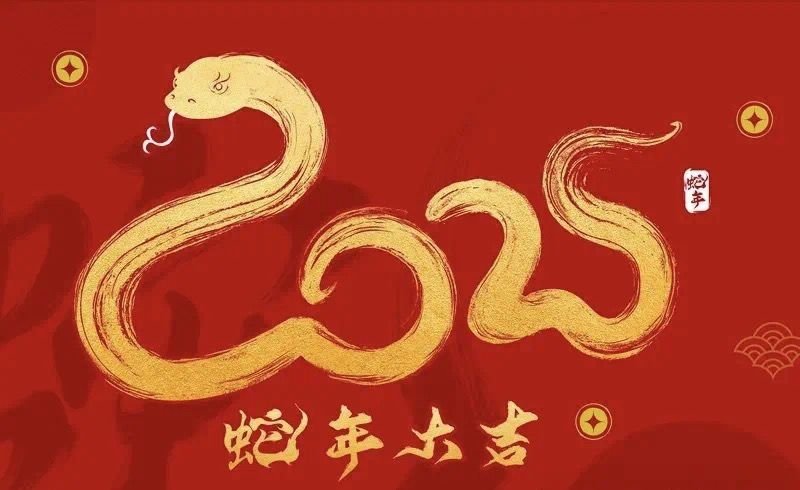 Happy Chinese new year to those who celebrate!

Snakes, in Chinese culture as in most cultures, are very symbolic and often associated with transformation and renewal (they shed their skin). So far this holds true for 2025: definitely a transformational year. So here's to