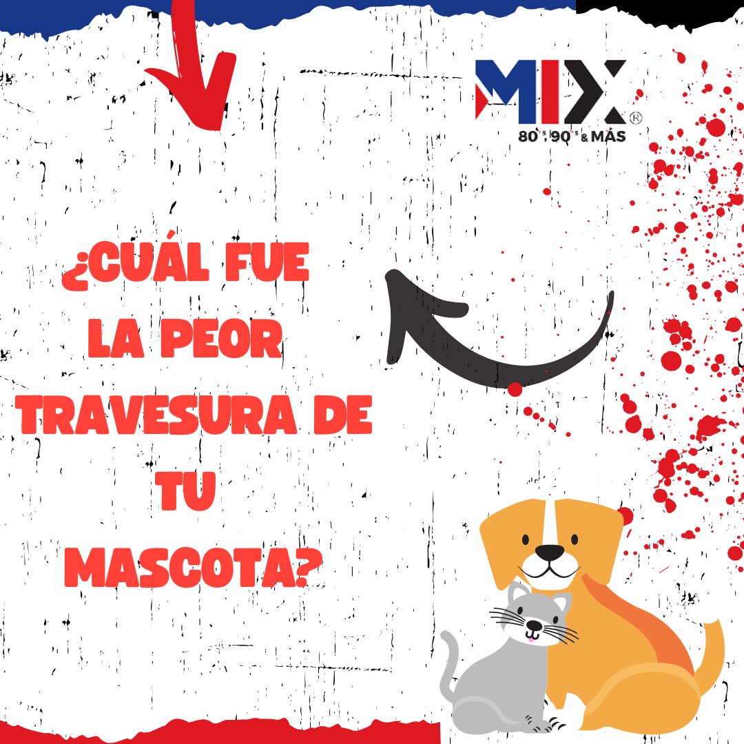 IviEnMix's tweet photo. #preguntadeldia mi gatita acabo con el cableado del internet 🐱 https://t.co/8G3OHkUlIT
