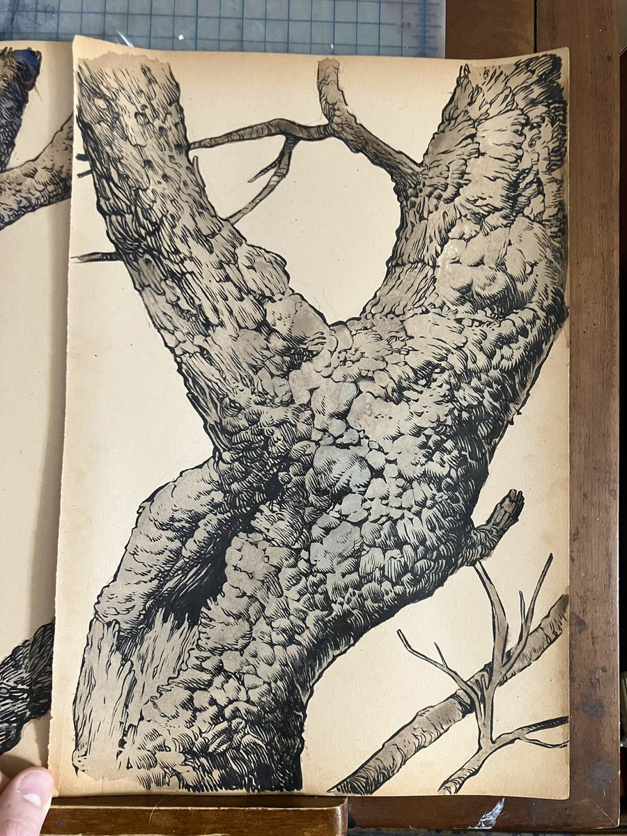 Another tree drawing.