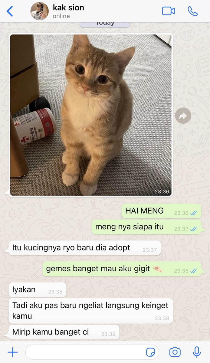 wushione's tweet photo. siyu – yusion one tweet au

di mata kak syon, uci = meng. https://t.co/3EBluL8Y0T