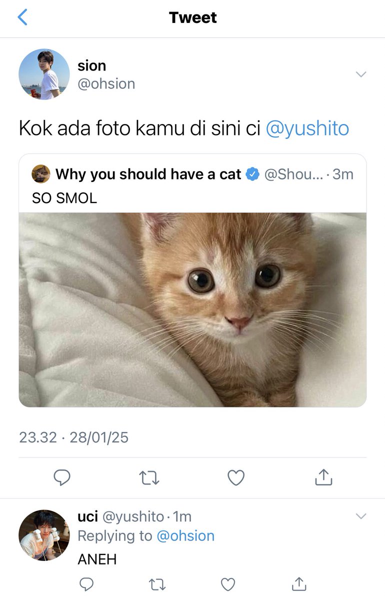 wushione's tweet photo. siyu – yusion one tweet au

di mata kak syon, uci = meng. https://t.co/3EBluL8Y0T