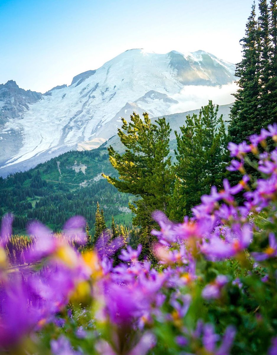 NATURE FRAME 🌿 tweet media