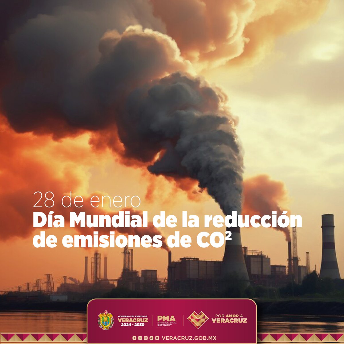 PMA Veracruz tweet media