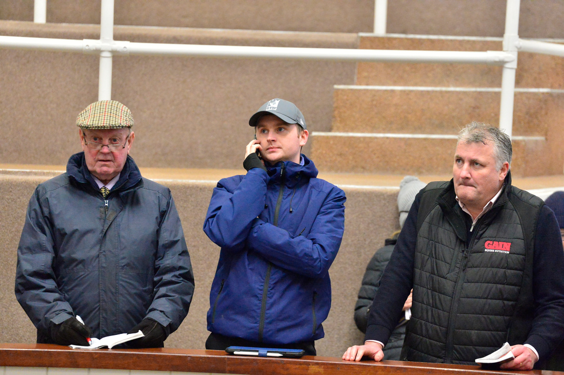 The fourth lot to be offered by Pa Doyle's Galbertstown Stables was the sole offering by the sire Karaktar.  

From the family of the smart pair Cap Du Nord and Qualando, it was <a href="/AubreyMcMahon97/">Aubrey Mc Mahon</a> from Temple Bloodstock that purchased the filly for €35,000.  #TIWinterSale