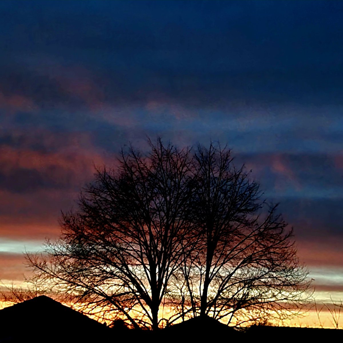 Alatarielle2's tweet photo. Last light of day #GoldenLining https://t.co/CGv4AoeWUg