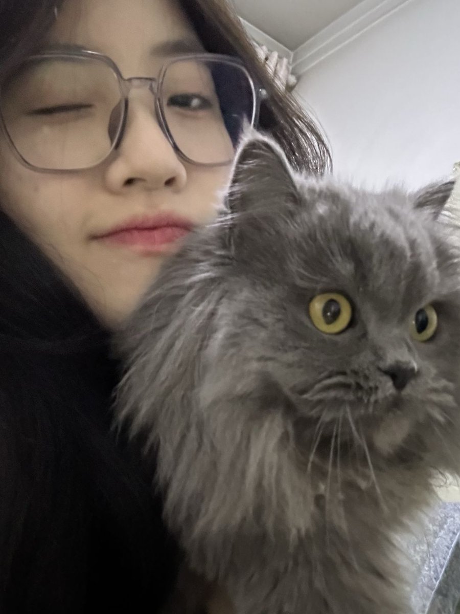 小梨歪歪 tweet media