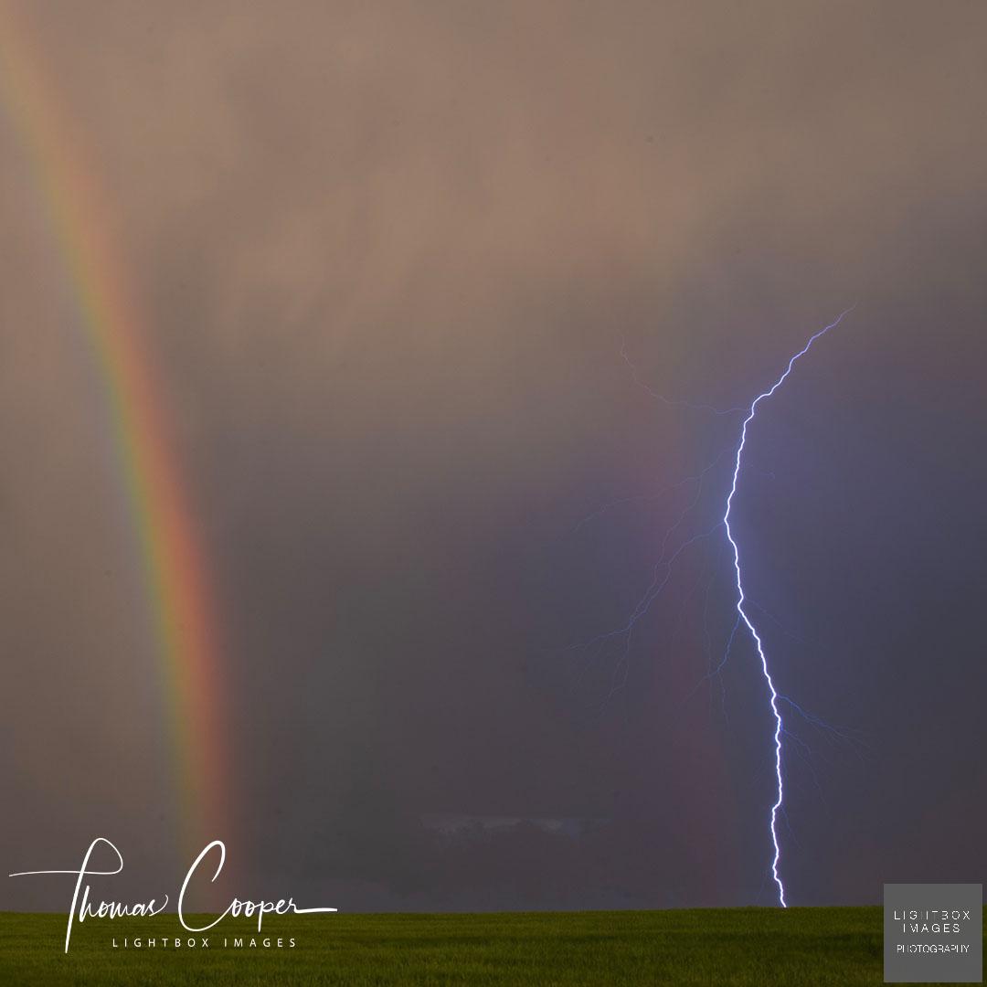 Thomas Cooper tweet media