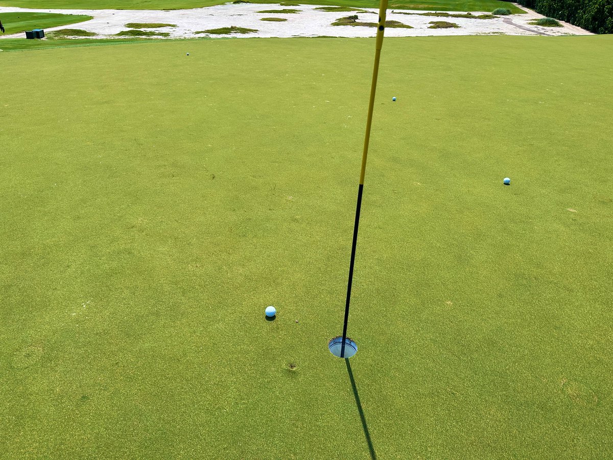 Rick Golfs tweet media