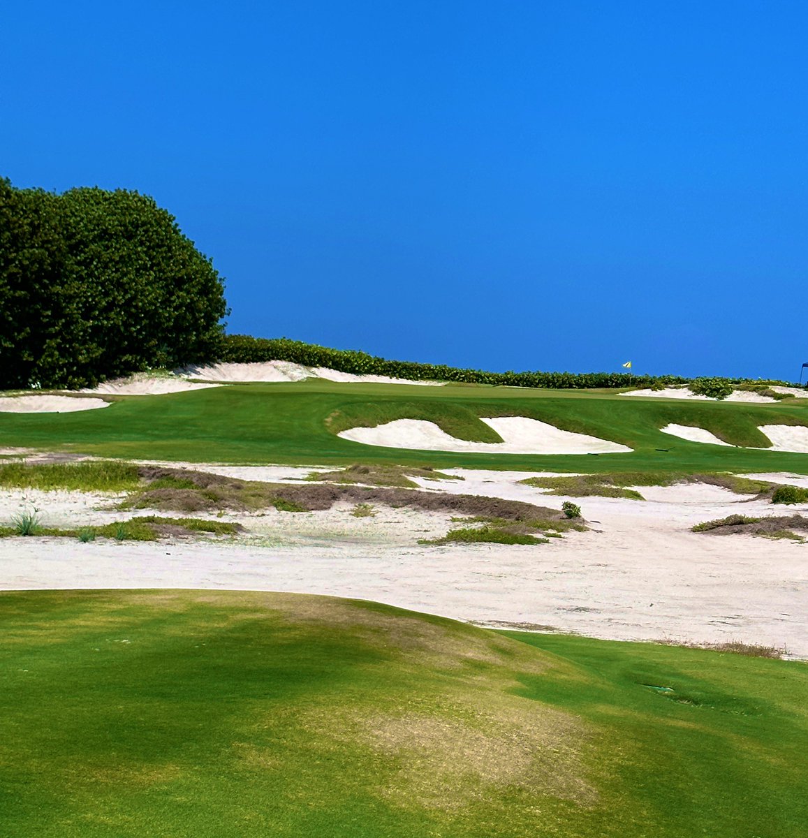 Rick Golfs tweet media