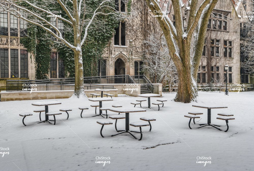 Winter Stillness at University of Chicago Courtyard