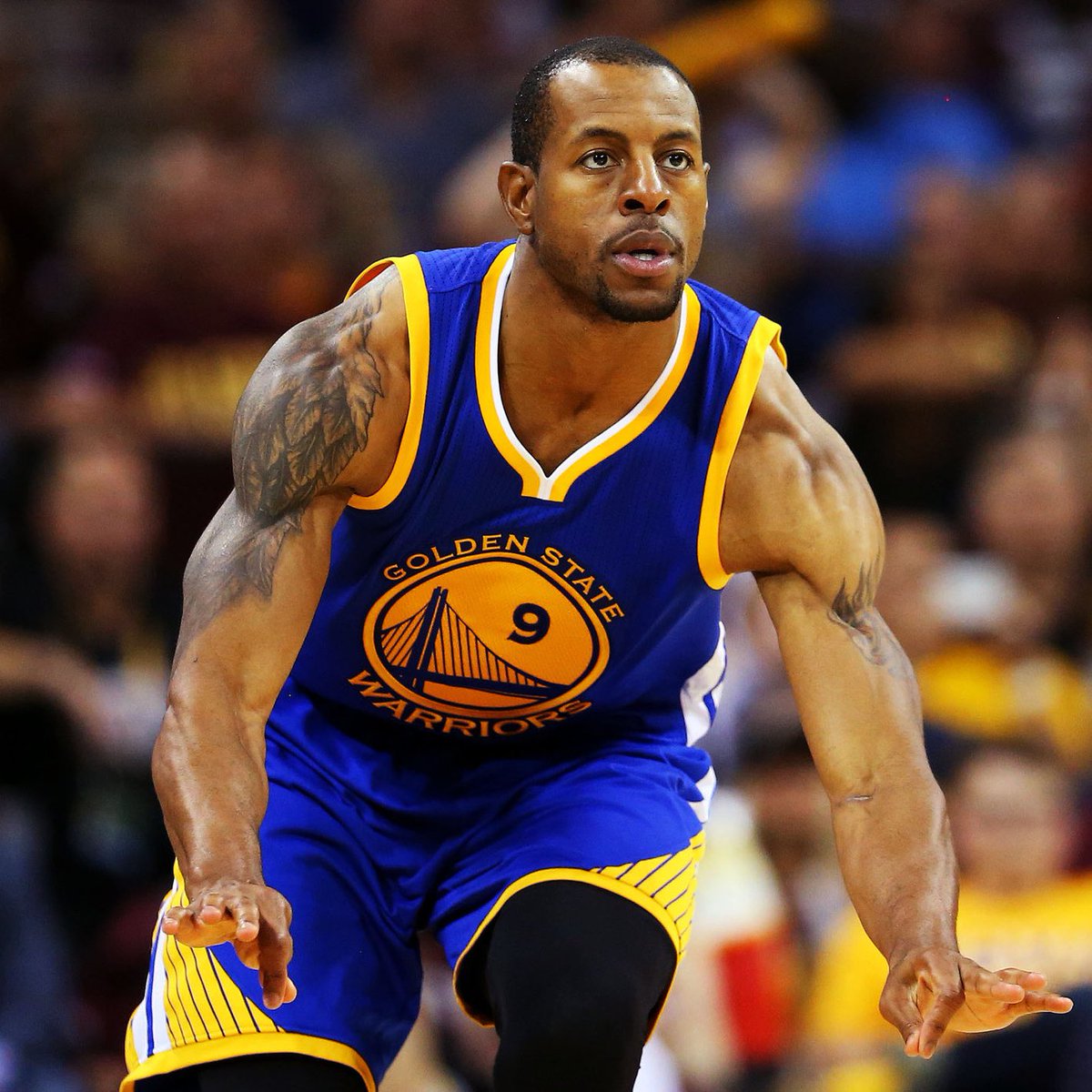 Legion Hoops (@legionhoops) on Twitter photo BREAKING: The Warriors are retiring Andre Iguodala’s jersey, per <a href="/ChrisBHaynes/">Chris Haynes</a>
🔥🔥🔥 BREAKING: The Warriors are retiring Andre Iguodala’s jersey, per <a href="/ChrisBHaynes/">Chris Haynes</a>
🔥🔥🔥