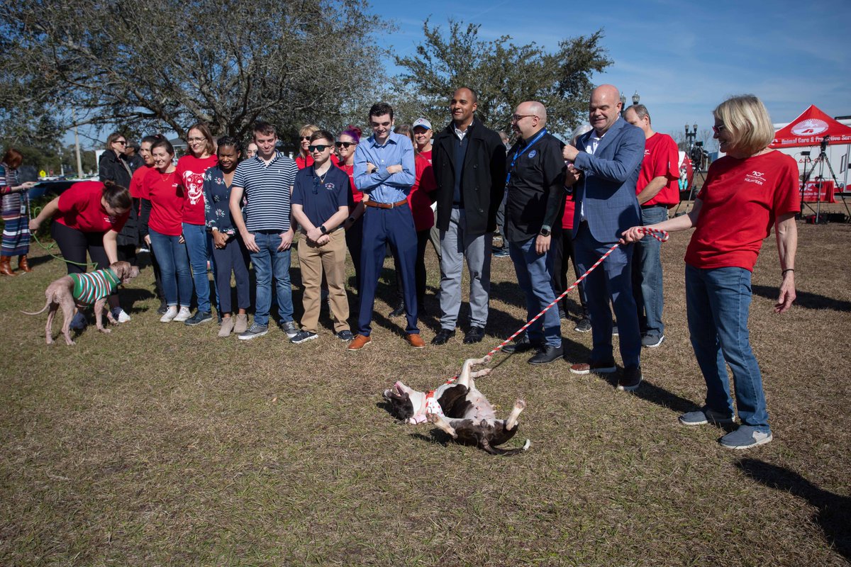 CityofJax's tweet photo. We are so thrilled to announce the launch of the new Professional Animal Workers Certificate (PAWS) program.  In partnership with @thearcjax and @FSCJ_Official, this initiative offers individuals with IDD the opportunity to gain education and job experience in animal care. (1/2) https://t.co/DvafA7jnWi
