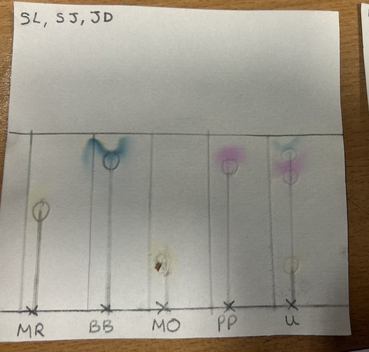 Havelock Science tweet media