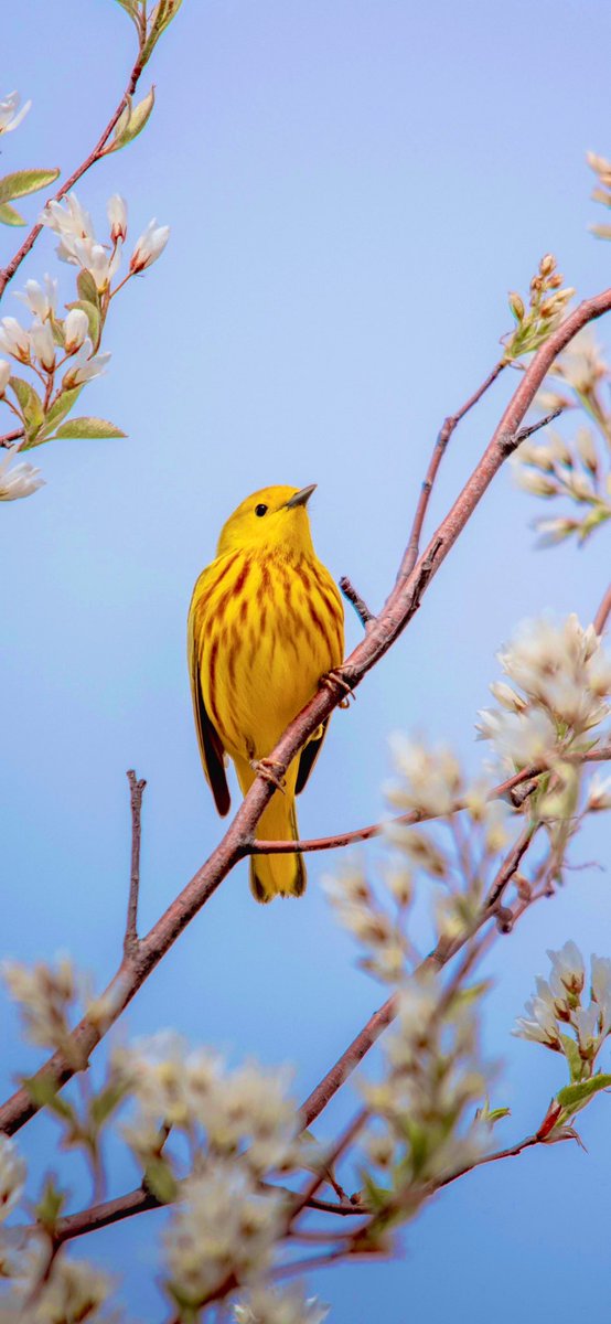 ForuMMail tweet media