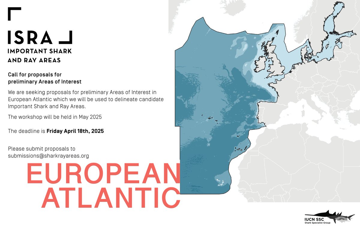 Important Shark and Ray Areas - ISRAs (@sharkrayareas) on Twitter photo The next area of focus for the Important Shark and Ray Areas project is... the European Atlantic! We are seeking proposals for preliminary areas of interest to submissions@sharkrayareas.org by 18 April 2025.
Please feel free to share this widely! The next area of focus for the Important Shark and Ray Areas project is... the European Atlantic! We are seeking proposals for preliminary areas of interest to submissions@sharkrayareas.org by 18 April 2025.
Please feel free to share this widely!
