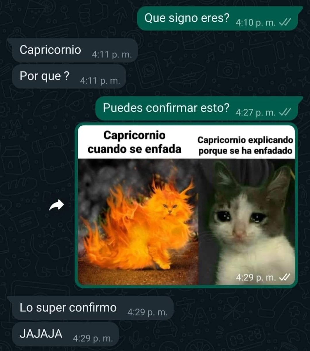Shitpost Aleatorio tweet media