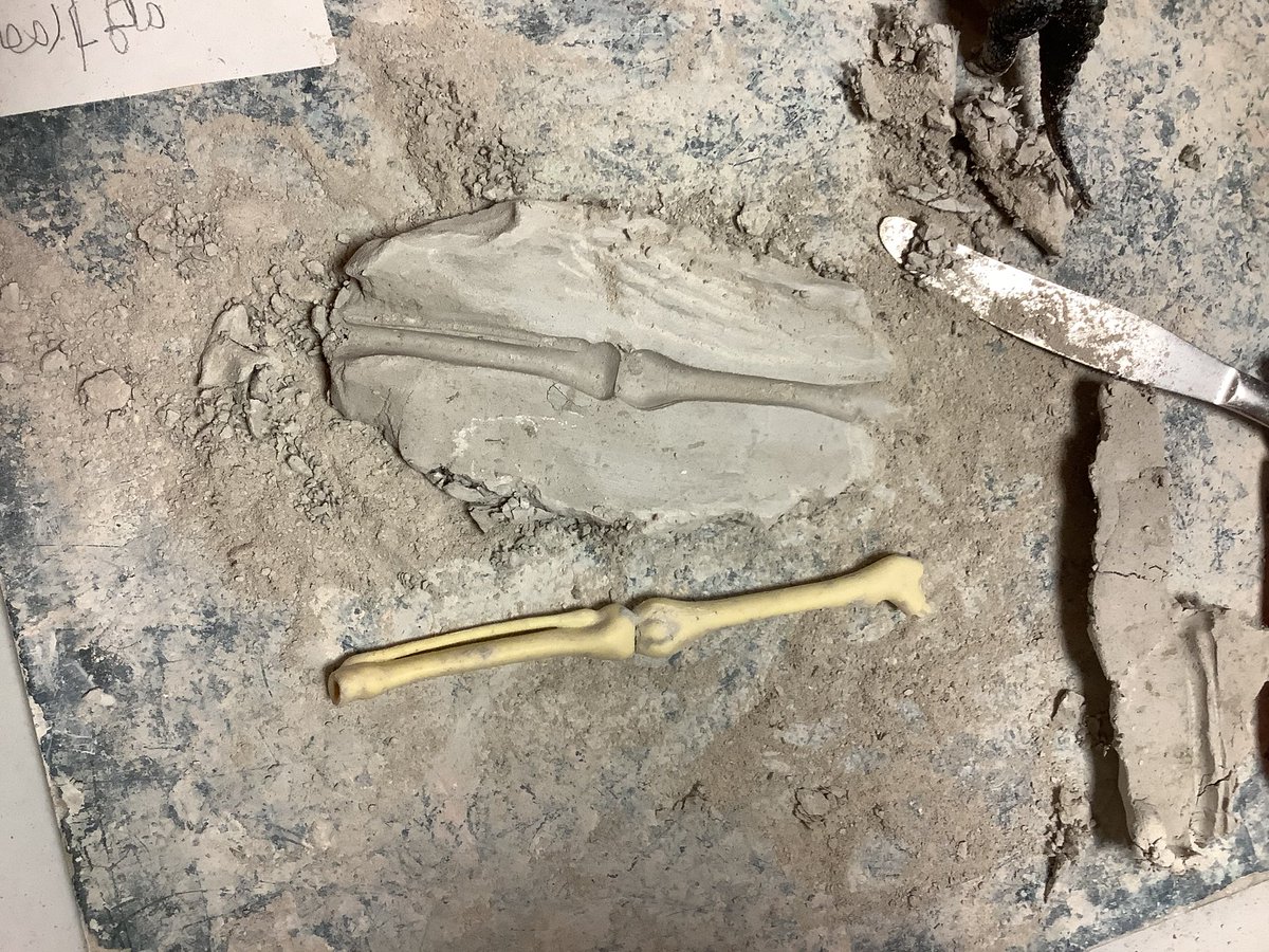 Selling CoE Primary School tweet media