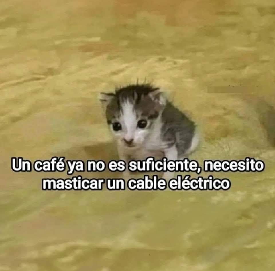 FraseSimple's tweet photo. https://t.co/OfKN9ATb8o