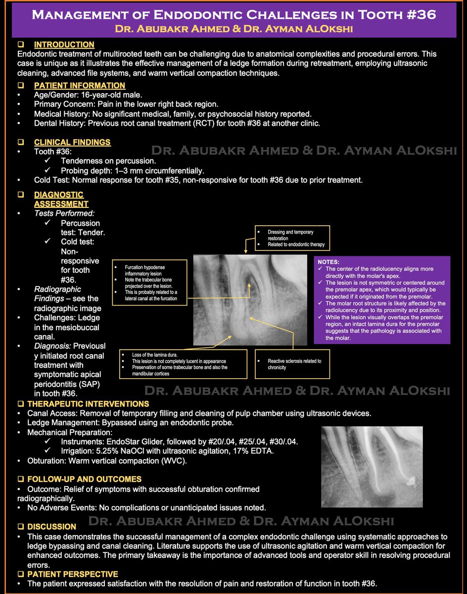 Abubakr Ahmed tweet media