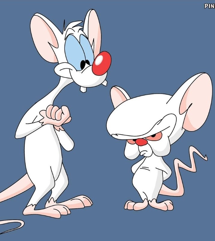 _vmvdeus_'s tweet photo. @relai_app Pinky and the (no)Brain https://t.co/P1qWl5UVjf
