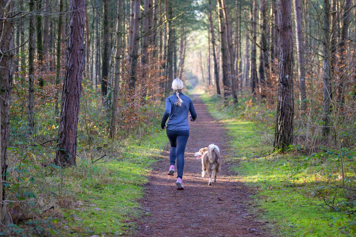 Read an editorial from the January/February issue ahead of print: Consistency beats intensity. As we step into 2025, the start of a new year offers a natural moment to revisit our health and fitness goals. Read the editorial: bcmj.org/editorials/con… #EarlyOnline