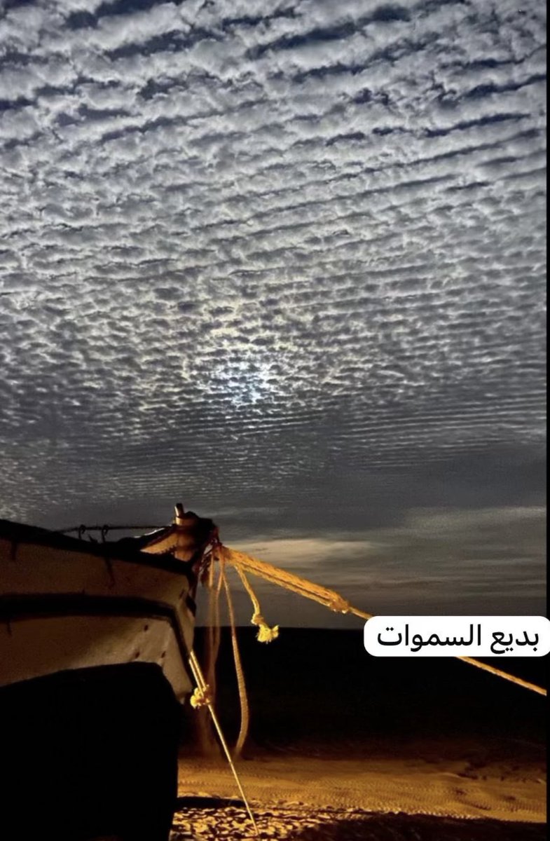 ملاك درار (@malak_derar) on Twitter photo 
