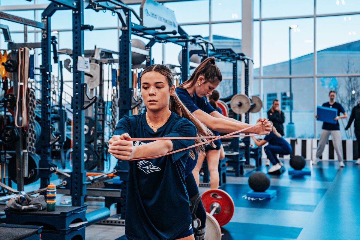 Back to work 💪

#BirdsUp 🤙 | #LetsGo210