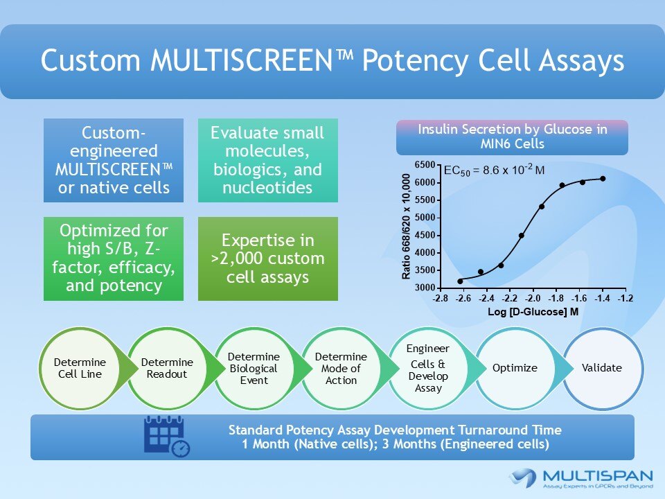 Make every project count! Employ customized #MULTISCREEN™ cell assays, optimized to match the biology to your study! hubs.la/Q034lQFf0 #Multispan #GPCR #drugdiscovery #research