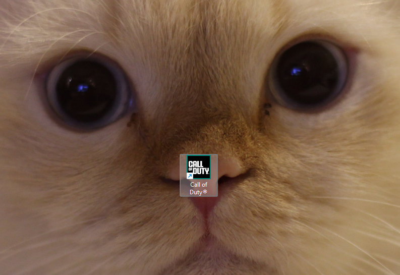 بيلا tweet media