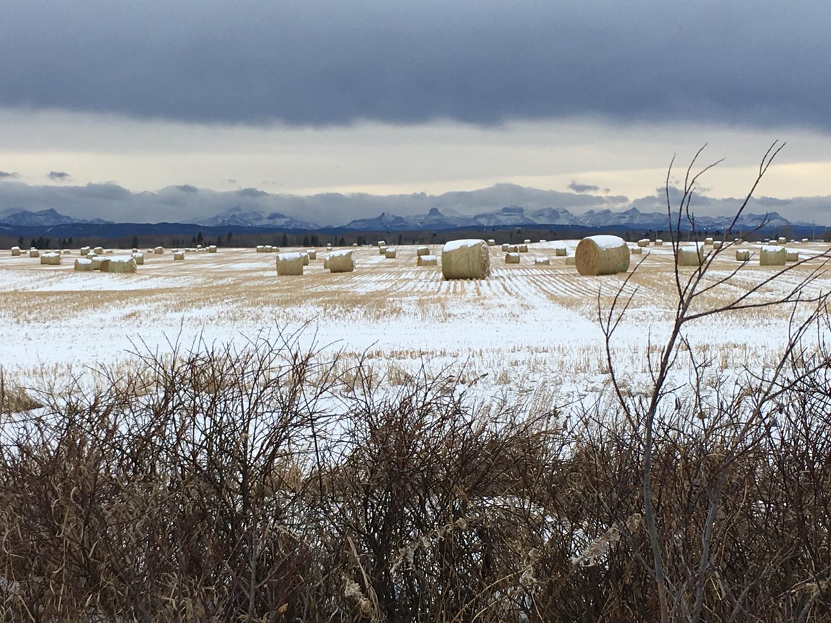 The United Nations has declared 2025 the Year of Co-op's!
Its the perfect time to celebrate how Co-op’s support local, and make a difference.
Join us in 2025 as we celebrate how CLGC is a different kind of business, building stronger connections and creating meaningful impact.