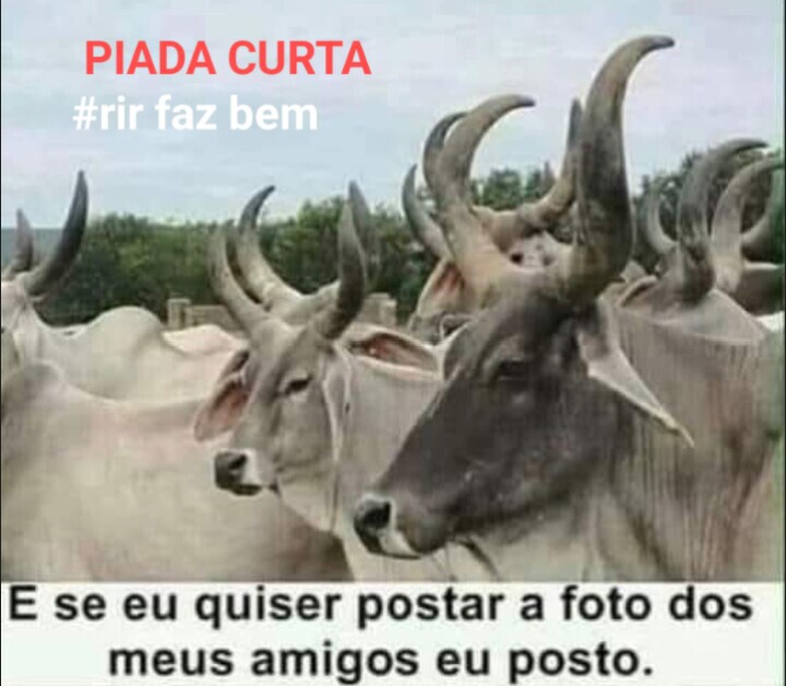 Franzé Cosmo (@franzecosmo) on Twitter photo 