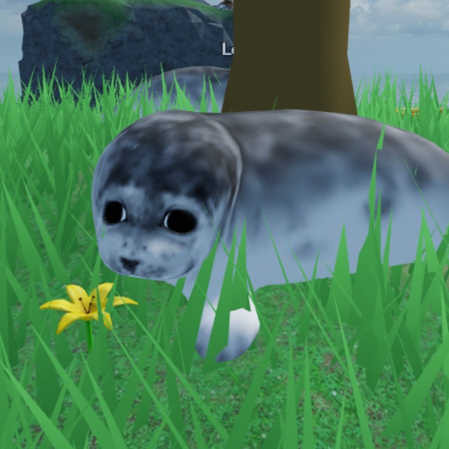 Jess 🦭 (@stickyseals) on Twitter photo 