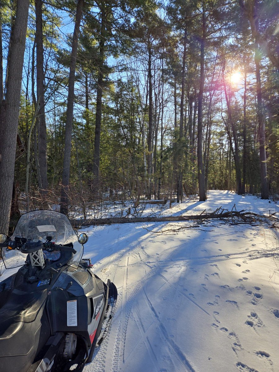Groomer Steve has logged.. um, groomed everything west of Raddison way. Great conditions, only one tree needed to be moved despite the intense wind overnight!

Skate and classic looking good! @ncc_ccn @skiheritageeast