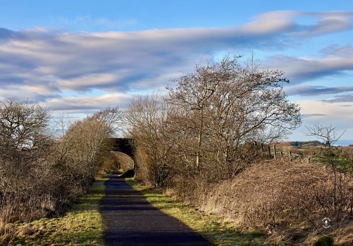 DougieCoullPix's tweet photo. 1/4 - All shot in under an hour this afternoon 🙂
#renfrewshire #cycletrack #lostlegion #sculpture #kilmacolmcycletrack #bridgeofweir #romanlegion #photography https://t.co/rdsWItDULi