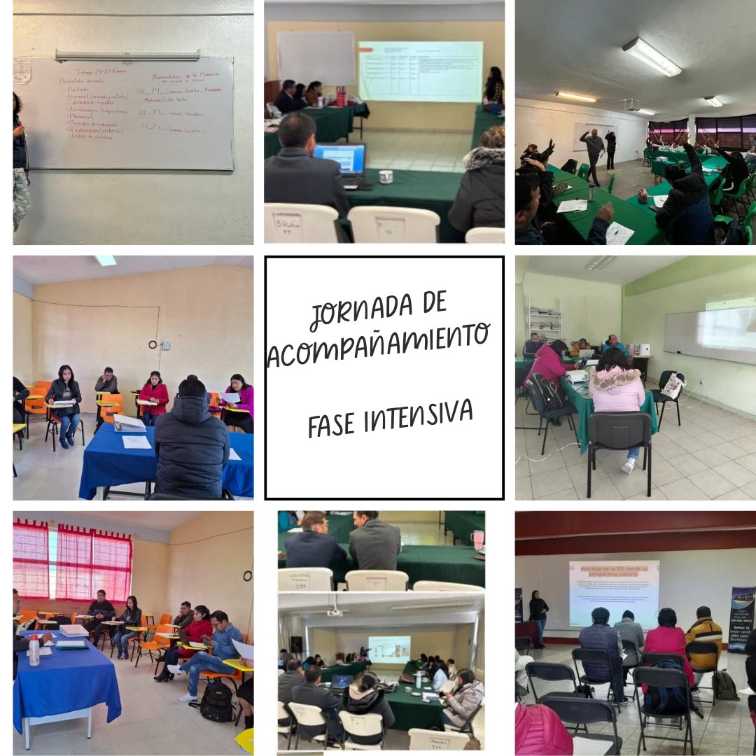 ZONA ESCOLAR 09 BG tweet media